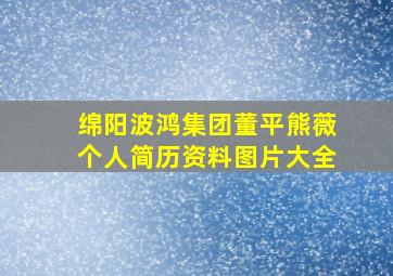 绵阳波鸿集团董平熊薇个人简历资料图片大全