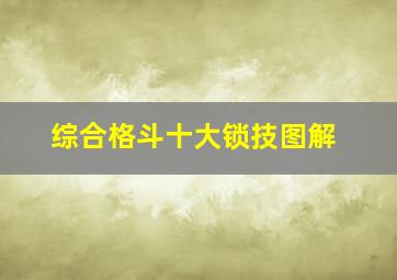 综合格斗十大锁技图解