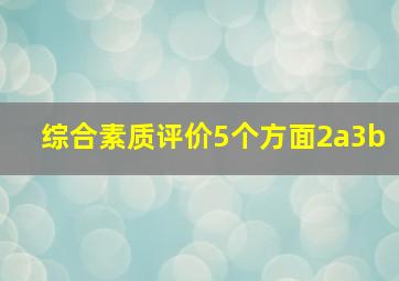 综合素质评价5个方面2a3b