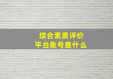 综合素质评价平台账号是什么