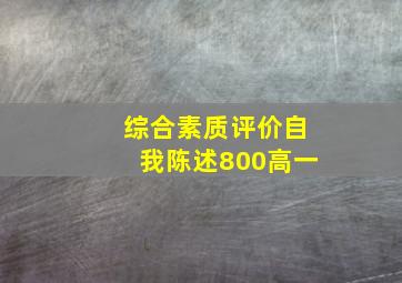 综合素质评价自我陈述800高一