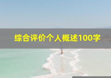 综合评价个人概述100字