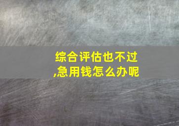 综合评估也不过,急用钱怎么办呢