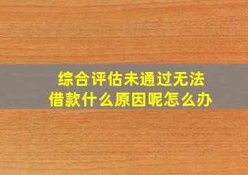 综合评估未通过无法借款什么原因呢怎么办