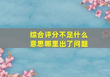 综合评分不足什么意思哪里出了问题