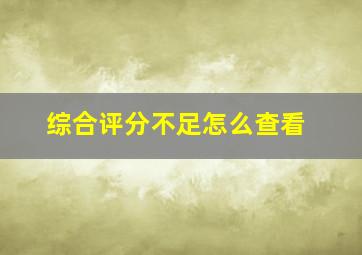 综合评分不足怎么查看