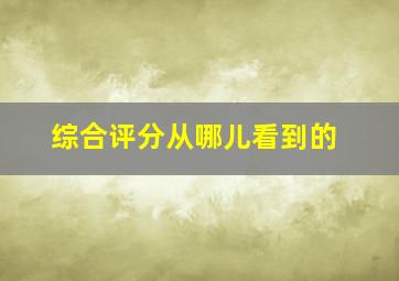 综合评分从哪儿看到的