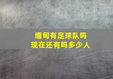 缅甸有足球队吗现在还有吗多少人