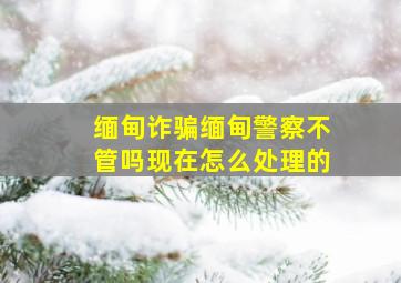 缅甸诈骗缅甸警察不管吗现在怎么处理的