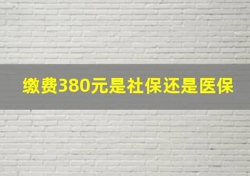 缴费380元是社保还是医保