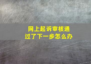 网上起诉审核通过了下一步怎么办