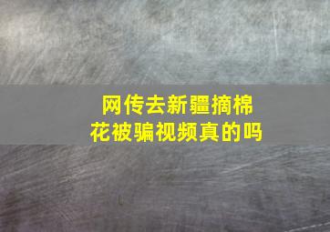 网传去新疆摘棉花被骗视频真的吗