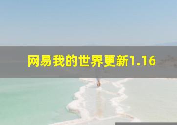 网易我的世界更新1.16