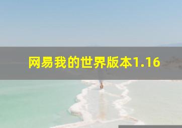 网易我的世界版本1.16