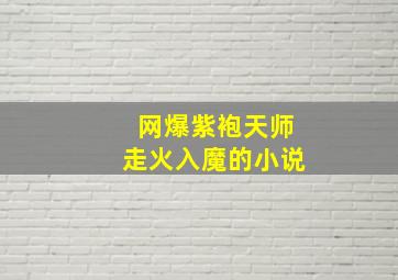 网爆紫袍天师走火入魔的小说