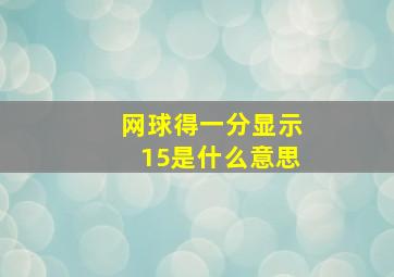 网球得一分显示15是什么意思