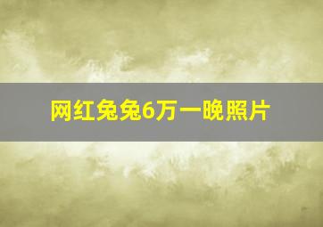 网红兔兔6万一晚照片