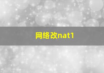 网络改nat1