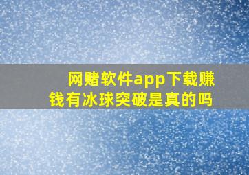 网赌软件app下载赚钱有冰球突破是真的吗