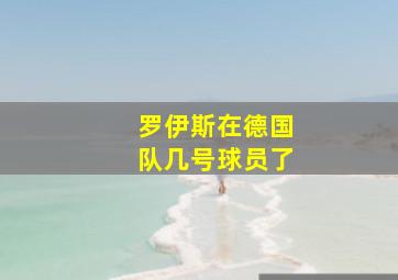 罗伊斯在德国队几号球员了