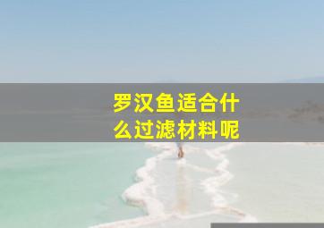 罗汉鱼适合什么过滤材料呢