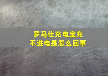 罗马仕充电宝充不进电是怎么回事