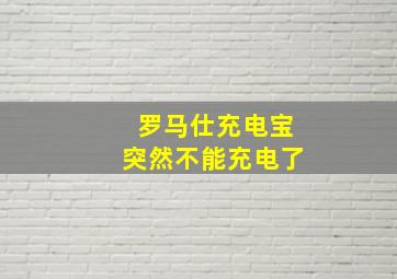 罗马仕充电宝突然不能充电了