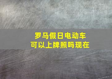 罗马假日电动车可以上牌照吗现在