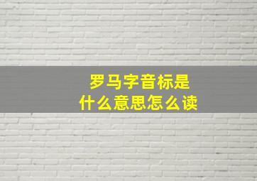 罗马字音标是什么意思怎么读