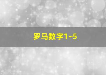 罗马数字1~5