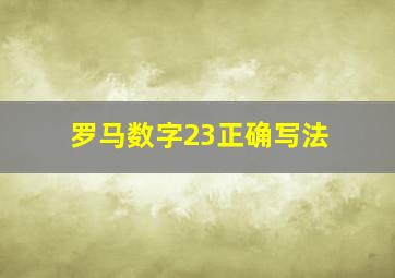 罗马数字23正确写法