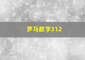 罗马数字312