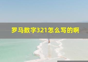 罗马数字321怎么写的啊