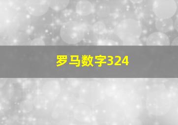 罗马数字324