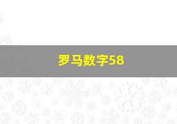 罗马数字58