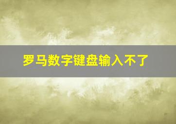 罗马数字键盘输入不了