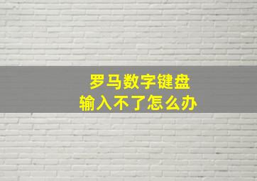 罗马数字键盘输入不了怎么办