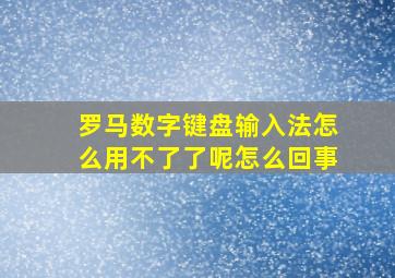 罗马数字键盘输入法怎么用不了了呢怎么回事