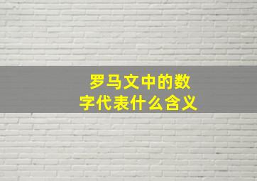 罗马文中的数字代表什么含义