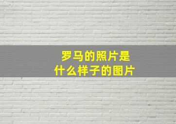 罗马的照片是什么样子的图片