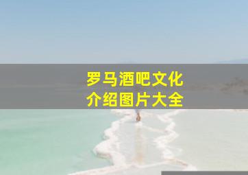 罗马酒吧文化介绍图片大全