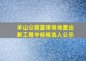 羊山公园篮球场地面出新工程中标候选人公示