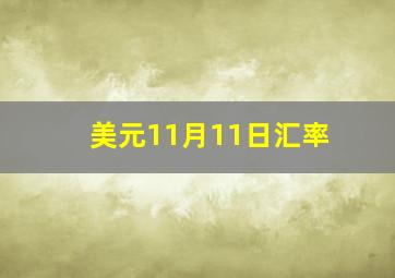 美元11月11日汇率