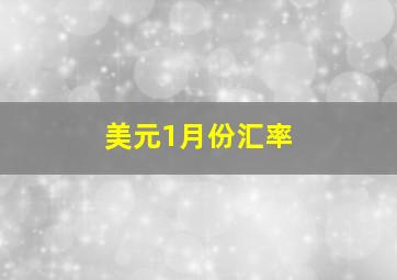 美元1月份汇率