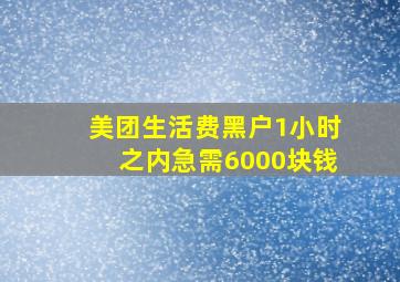 美团生活费黑户1小时之内急需6000块钱