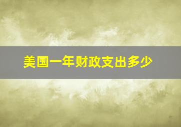 美国一年财政支出多少