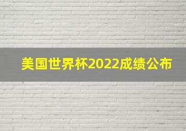 美国世界杯2022成绩公布