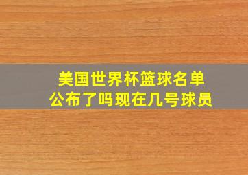 美国世界杯篮球名单公布了吗现在几号球员