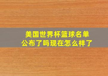 美国世界杯篮球名单公布了吗现在怎么样了