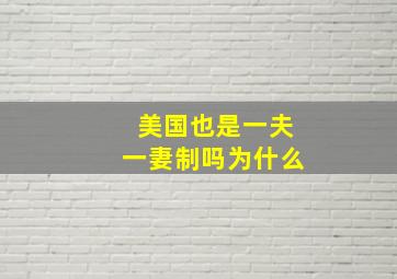 美国也是一夫一妻制吗为什么